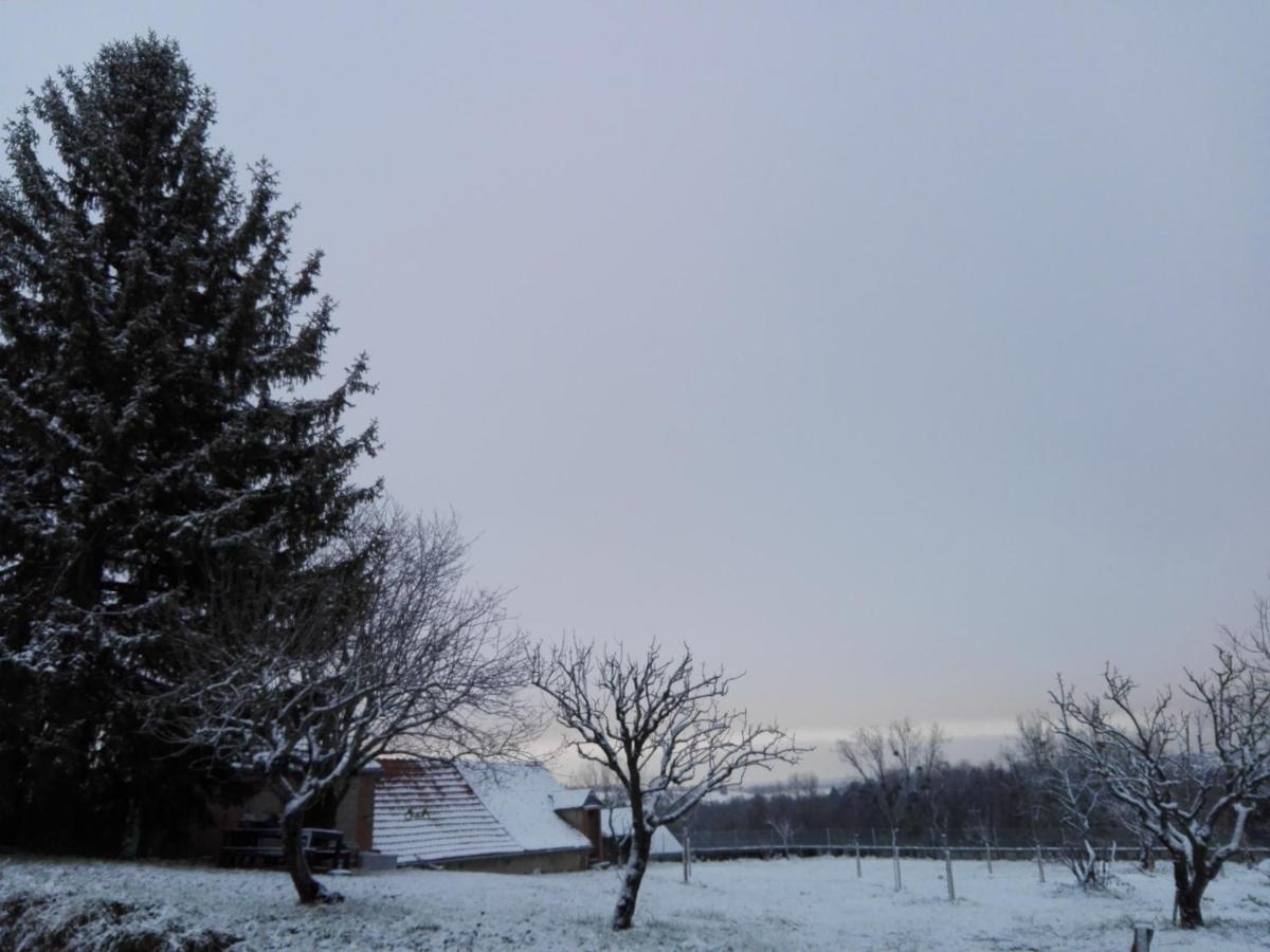 Cercy-la-Tour Chez Casimir Bed & Breakfast エクステリア 写真